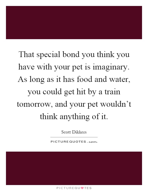 That special bond you think you have with your pet is imaginary. As long as it has food and water, you could get hit by a train tomorrow, and your pet wouldn't think anything of it Picture Quote #1