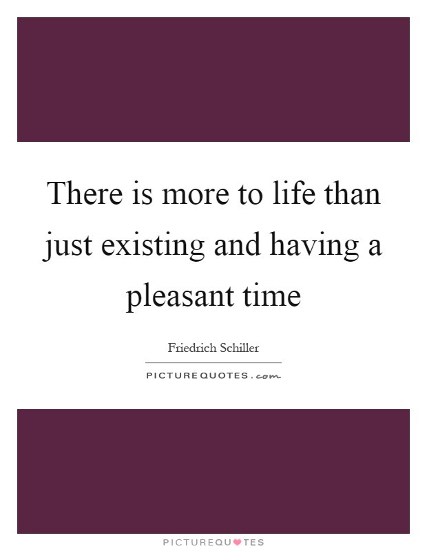 There is more to life than just existing and having a pleasant time Picture Quote #1