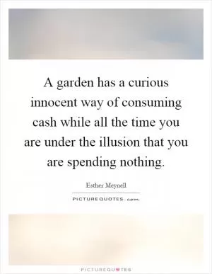 A garden has a curious innocent way of consuming cash while all the time you are under the illusion that you are spending nothing Picture Quote #1
