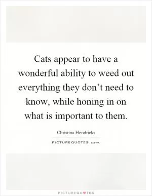 Cats appear to have a wonderful ability to weed out everything they don’t need to know, while honing in on what is important to them Picture Quote #1
