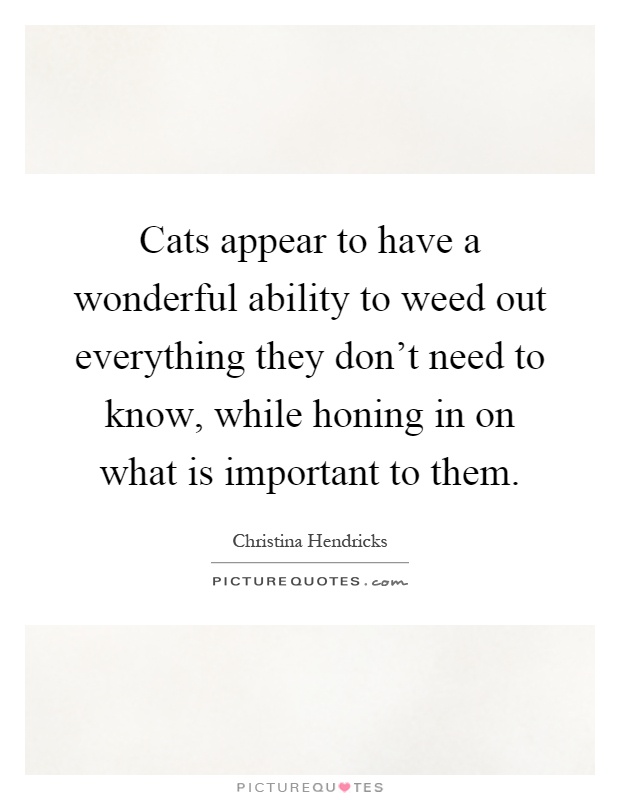 Cats appear to have a wonderful ability to weed out everything they don't need to know, while honing in on what is important to them Picture Quote #1
