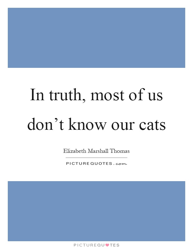 In truth, most of us don't know our cats Picture Quote #1