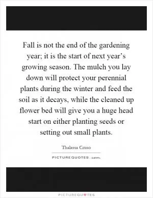 Fall is not the end of the gardening year; it is the start of next year’s growing season. The mulch you lay down will protect your perennial plants during the winter and feed the soil as it decays, while the cleaned up flower bed will give you a huge head start on either planting seeds or setting out small plants Picture Quote #1