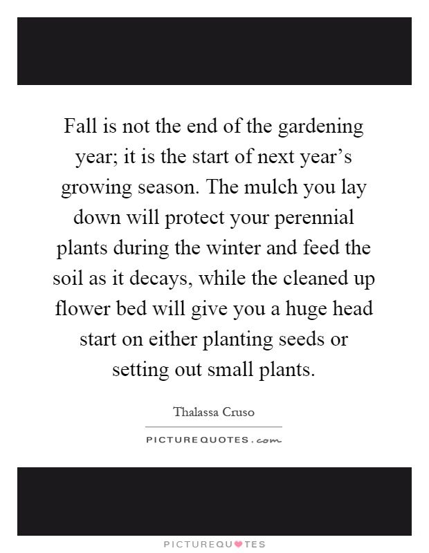 Fall is not the end of the gardening year; it is the start of next year's growing season. The mulch you lay down will protect your perennial plants during the winter and feed the soil as it decays, while the cleaned up flower bed will give you a huge head start on either planting seeds or setting out small plants Picture Quote #1