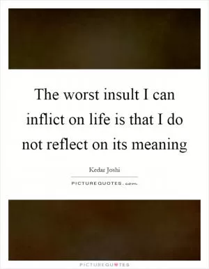 The worst insult I can inflict on life is that I do not reflect on its meaning Picture Quote #1