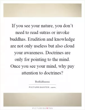 If you see your nature, you don’t need to read sutras or invoke buddhas. Erudition and knowledge are not only useless but also cloud your awareness. Doctrines are only for pointing to the mind. Once you see your mind, why pay attention to doctrines? Picture Quote #1
