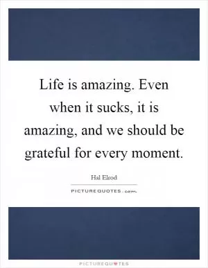 Life is amazing. Even when it sucks, it is amazing, and we should be grateful for every moment Picture Quote #1