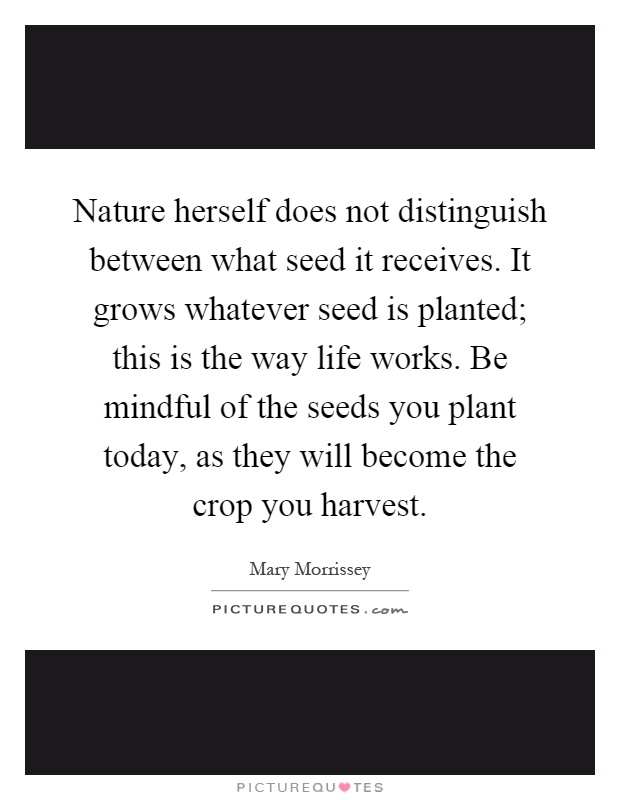 Nature herself does not distinguish between what seed it receives. It grows whatever seed is planted; this is the way life works. Be mindful of the seeds you plant today, as they will become the crop you harvest Picture Quote #1
