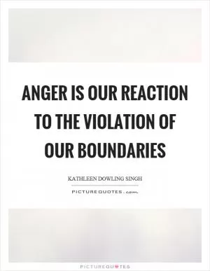 Anger is our reaction to the violation of our boundaries Picture Quote #1