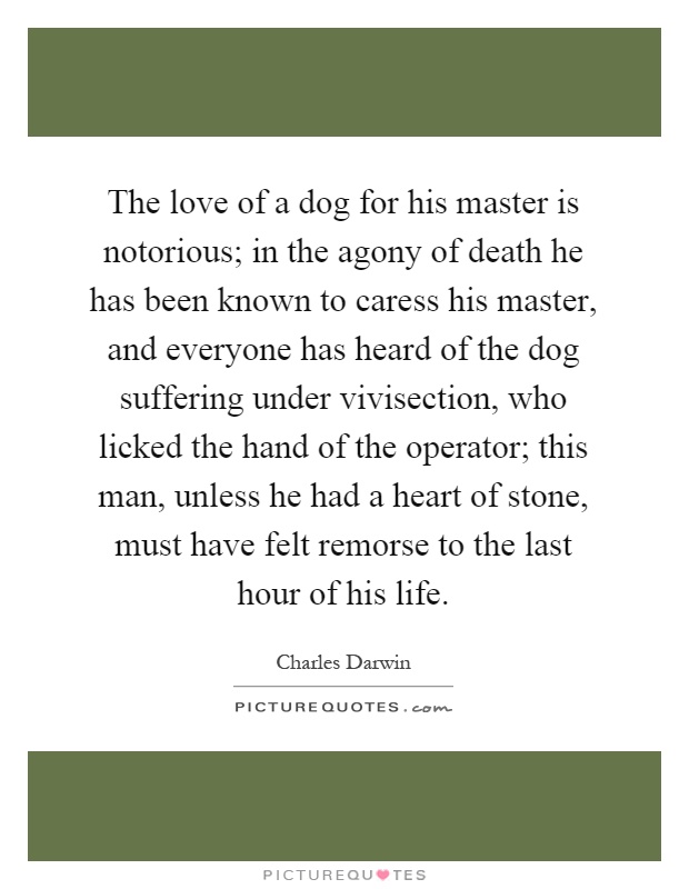 The love of a dog for his master is notorious; in the agony of death he has been known to caress his master, and everyone has heard of the dog suffering under vivisection, who licked the hand of the operator; this man, unless he had a heart of stone, must have felt remorse to the last hour of his life Picture Quote #1