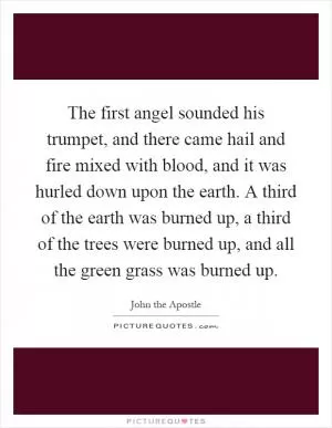 The first angel sounded his trumpet, and there came hail and fire mixed with blood, and it was hurled down upon the earth. A third of the earth was burned up, a third of the trees were burned up, and all the green grass was burned up Picture Quote #1