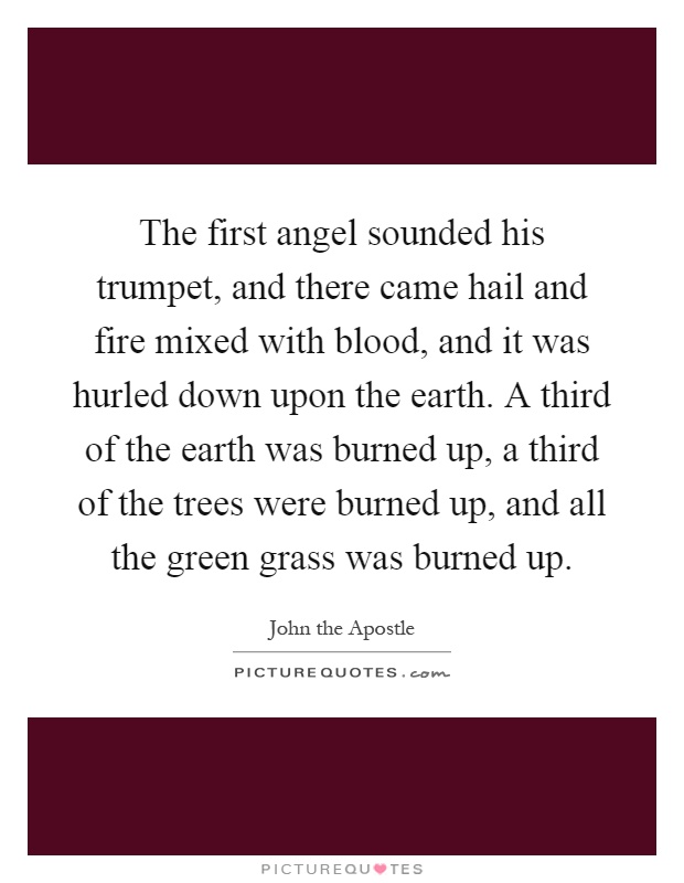 The first angel sounded his trumpet, and there came hail and fire mixed with blood, and it was hurled down upon the earth. A third of the earth was burned up, a third of the trees were burned up, and all the green grass was burned up Picture Quote #1