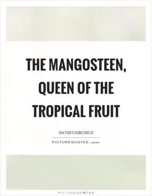 The mangosteen, queen of the tropical fruit Picture Quote #1