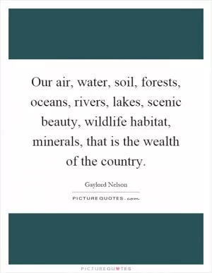 Our air, water, soil, forests, oceans, rivers, lakes, scenic beauty, wildlife habitat, minerals, that is the wealth of the country Picture Quote #1