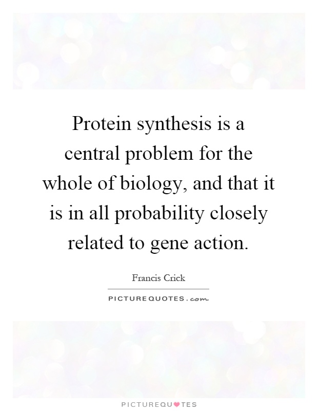 Protein synthesis is a central problem for the whole of biology, and that it is in all probability closely related to gene action Picture Quote #1