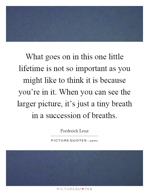 What goes on in this one little lifetime is not so important as you might like to think it is because you're in it. When you can see the larger picture, it's just a tiny breath in a succession of breaths Picture Quote #1