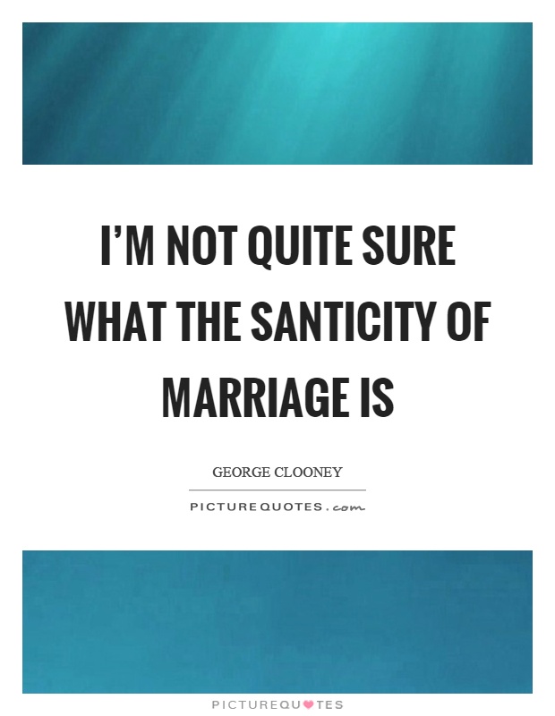 I’m not quite sure what the santicity of marriage is Picture Quote #1