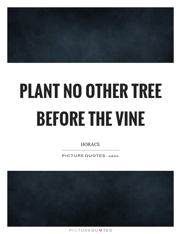 Plant no other tree before the vine Picture Quote #1