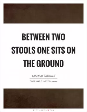 Between two stools one sits on the ground Picture Quote #1