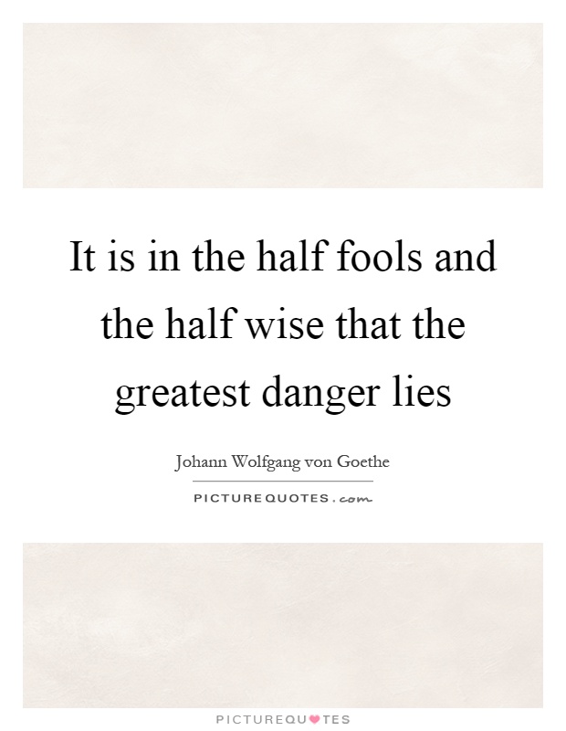 It is in the half fools and the half wise that the greatest danger lies Picture Quote #1