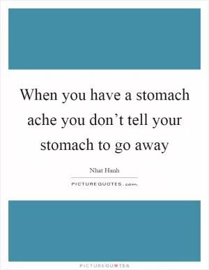 When you have a stomach ache you don’t tell your stomach to go away Picture Quote #1