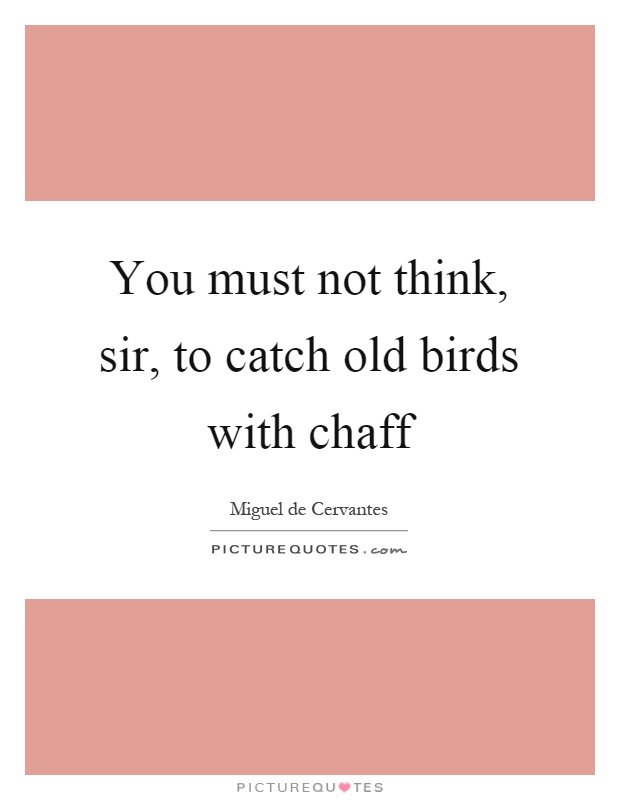 You must not think, sir, to catch old birds with chaff Picture Quote #1