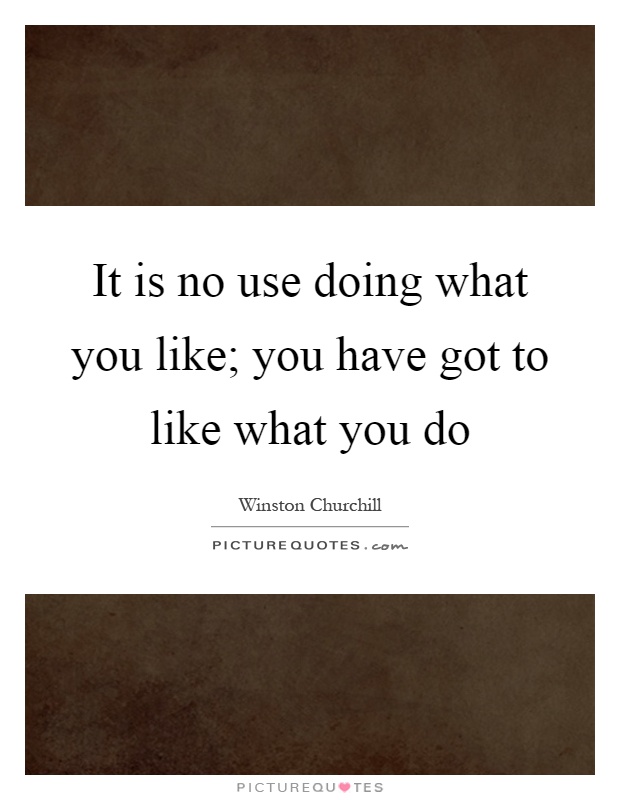 It is no use doing what you like; you have got to like what you do Picture Quote #1