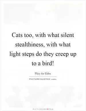 Cats too, with what silent stealthiness, with what light steps do they creep up to a bird! Picture Quote #1
