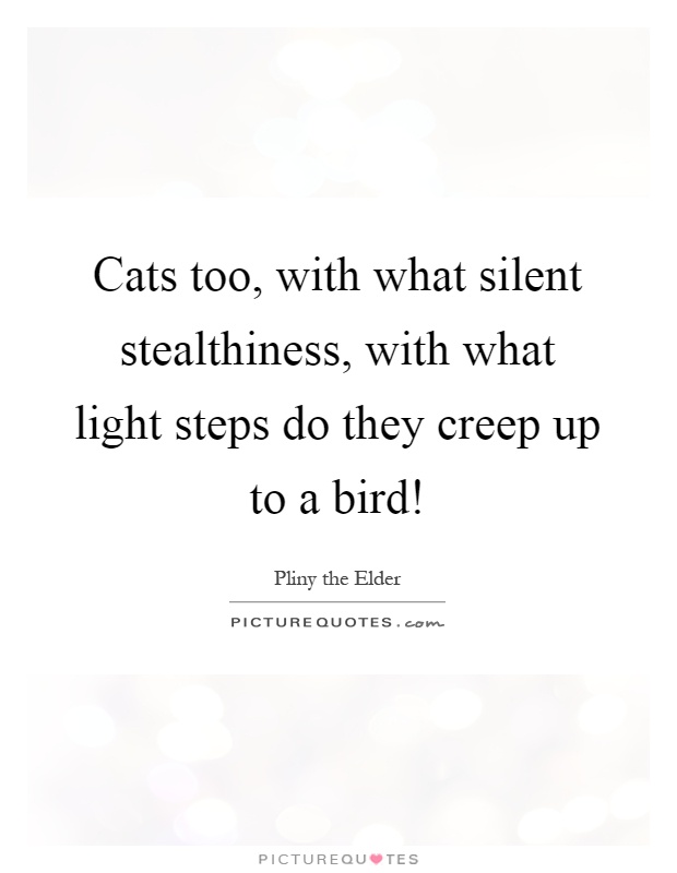 Cats too, with what silent stealthiness, with what light steps do they creep up to a bird! Picture Quote #1