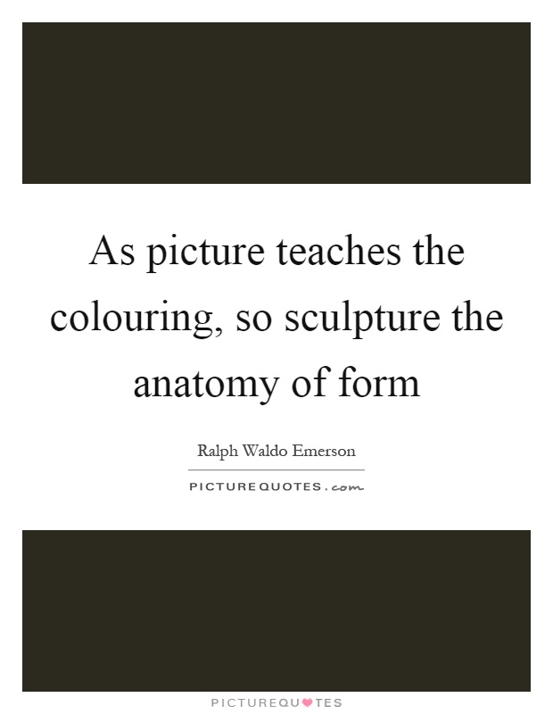 As picture teaches the colouring, so sculpture the anatomy of form Picture Quote #1