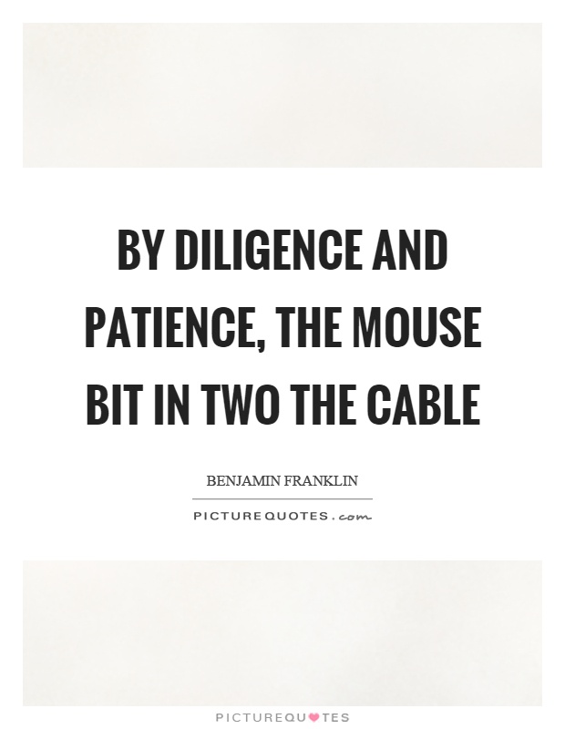 By diligence and patience, the mouse bit in two the cable Picture Quote #1