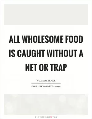 All wholesome food is caught without a net or trap Picture Quote #1
