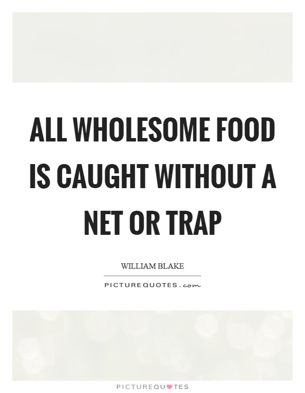 All wholesome food is caught without a net or trap Picture Quote #1