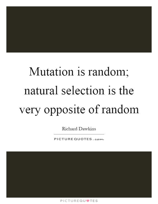 Mutation is random; natural selection is the very opposite of random Picture Quote #1
