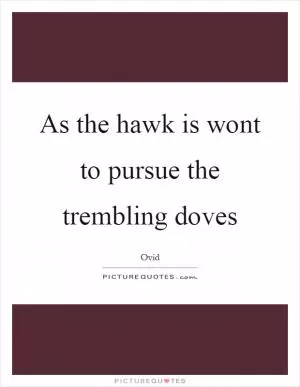 As the hawk is wont to pursue the trembling doves Picture Quote #1