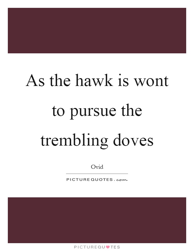 As the hawk is wont to pursue the trembling doves Picture Quote #1