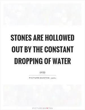 Stones are hollowed out by the constant dropping of water Picture Quote #1