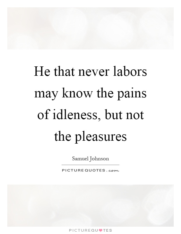 He that never labors may know the pains of idleness, but not the pleasures Picture Quote #1