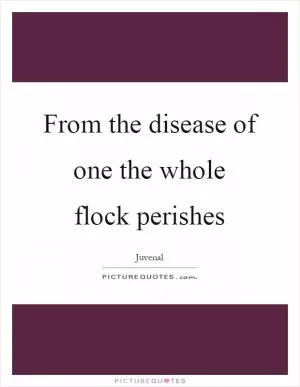 From the disease of one the whole flock perishes Picture Quote #1