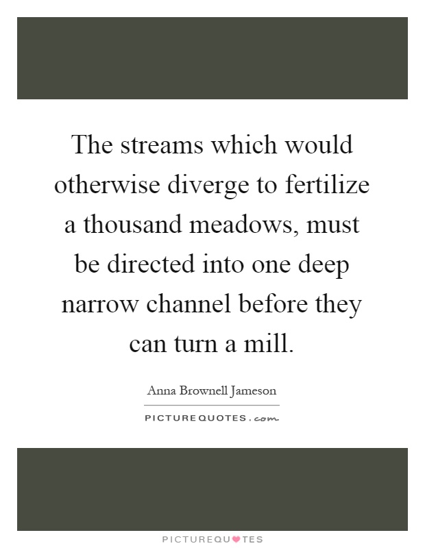 The streams which would otherwise diverge to fertilize a thousand meadows, must be directed into one deep narrow channel before they can turn a mill Picture Quote #1