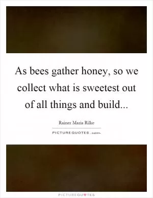 As bees gather honey, so we collect what is sweetest out of all things and build Picture Quote #1