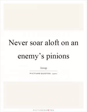 Never soar aloft on an enemy’s pinions Picture Quote #1