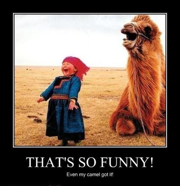 That's so funny! Even my camel got it! Picture Quote #1