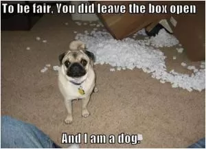 To be fair. You did leave the box open. And I am a dog Picture Quote #1