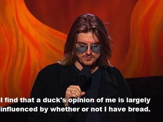 I find that a duck's opinion of me is largely influence by whether or not I have bread Picture Quote #1