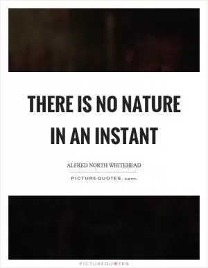There is no nature in an instant Picture Quote #1