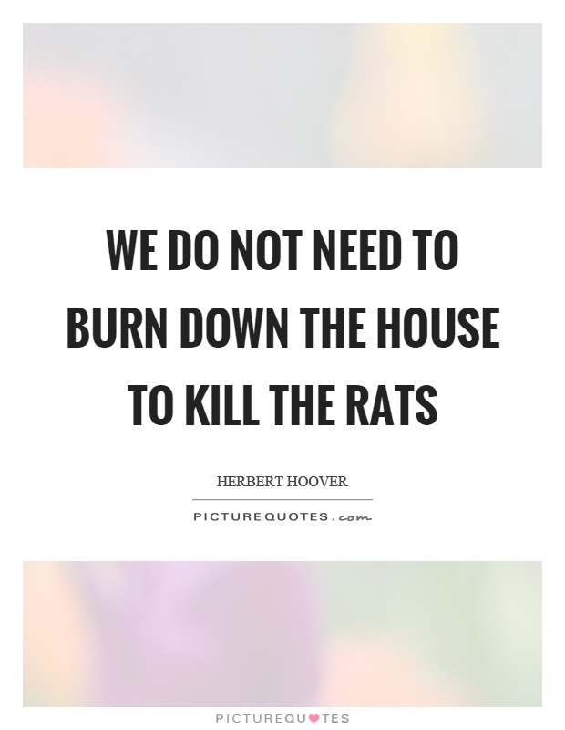 We do not need to burn down the house to kill the rats Picture Quote #1