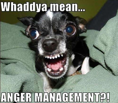 Whaddya mean... Anger management?! Picture Quote #1