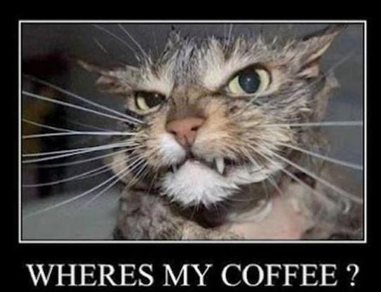 Where’s my coffee? Picture Quote #1
