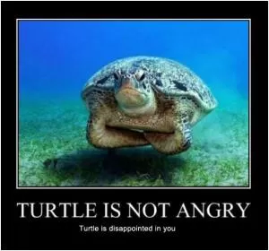 Turtle is not angry. Turtle is disappointed in you Picture Quote #1